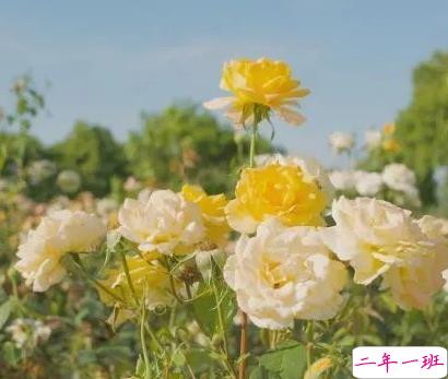 九月适合发朋友圈说说带图片唯美 九月该来的总会来4