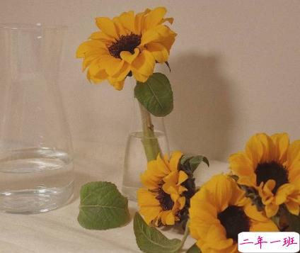 九月适合发朋友圈说说带图片唯美 九月该来的总会来11