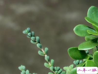 早安心语唯美句子 比较优美的早安句子带图片4