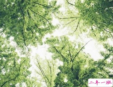 早安心语唯美句子 比较优美的早安句子带图片7