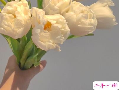 早安心语唯美句子 比较优美的早安句子带图片11