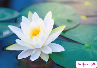 夏天说说唯美简单带图片 2020夏季干净短句5