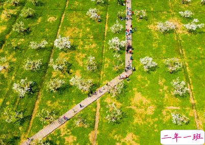 夏天说说唯美简单带图片 2020夏季干净短句7