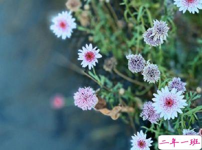 夏天说说唯美简单带图片 2020夏季干净短句10