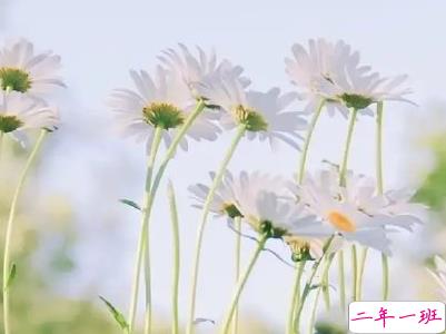 夏天说说唯美简单带图片 2020夏季干净短句15