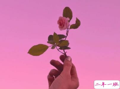 治愈系文字简短好听带图片 阳光般治愈的温暖说说配图5