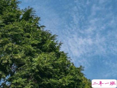 治愈系文字简短好听带图片 阳光般治愈的温暖说说配图8