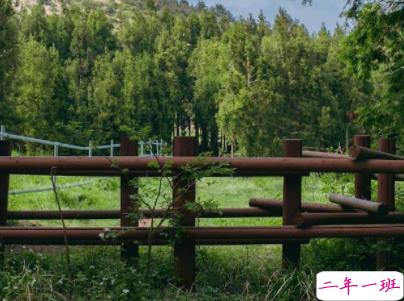 治愈系文字简短好听带图片 阳光般治愈的温暖说说配图14