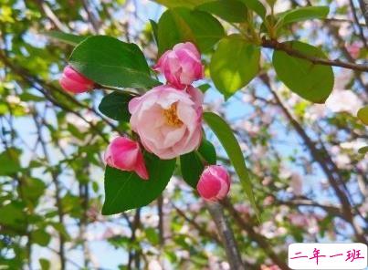 春天优美文艺说说带图片 值得收藏的春季文案4