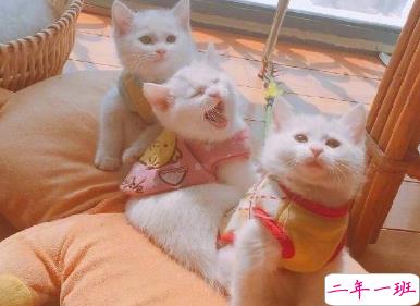 30条关于爱情的可爱句子 我和天地万物通通奔向你 2