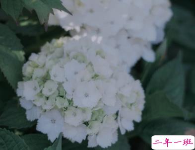 微信惊蛰说说带图片 惊蛰节气优美句子20201