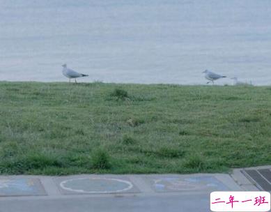 微信惊蛰说说带图片 惊蛰节气优美句子20202