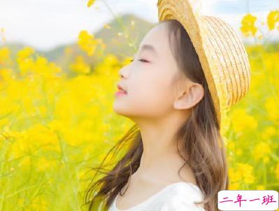 好美的油菜花说说带图片 油菜花唯美说说配图9