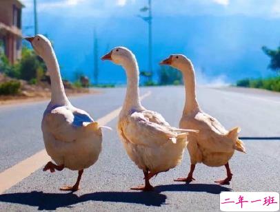 唯美文字控短句带图片 朋友圈唯美句子清新浪漫4