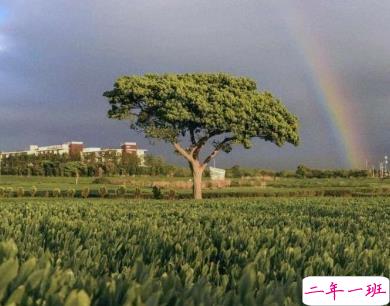 微信惊蛰说说带图片 惊蛰节气优美句子20205