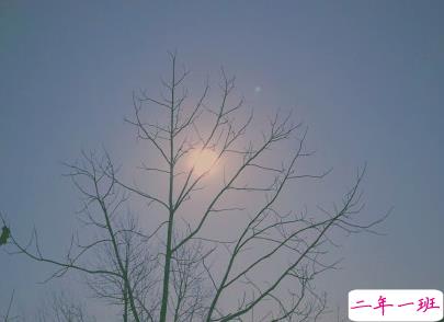 唯美文字控短句带图片 朋友圈唯美句子清新浪漫7