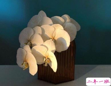 微信惊蛰说说带图片 惊蛰节气优美句子202014