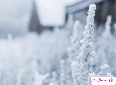 冬天下雪天文案唯美带图片 抖音最火下雪天说说1