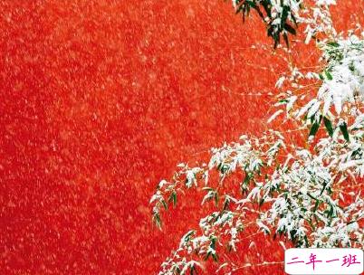 冬天下雪天文案唯美带图片 抖音最火下雪天说说2