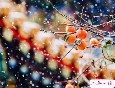 冬天下雪天文案唯美带图片 抖音最火下雪天说说5