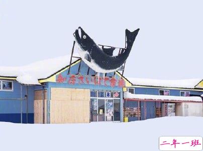 冬天下雪天文案唯美带图片 抖音最火下雪天说说7