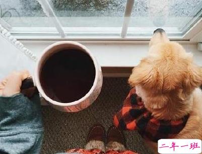 冬天下雪天文案唯美带图片 抖音最火下雪天说说13