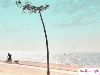 朋友圈唯美励志语录配图 最新一句话说说励志大全1