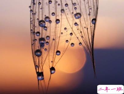 朋友圈唯美励志语录配图 最新一句话说说励志大全4