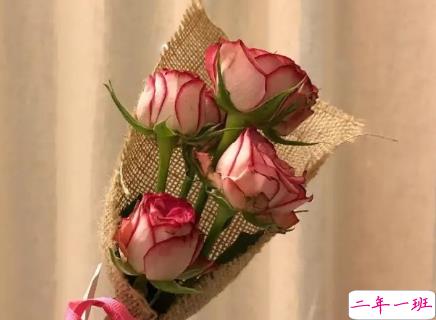 七夕微信示爱表白密码 情人节微信翻译的表白情话1