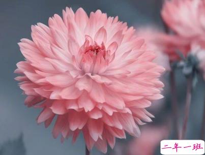 温柔干净的唯美句子配图 适合女生说说唯美文字控4