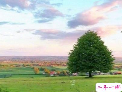 温柔干净的唯美句子配图 适合女生说说唯美文字控10