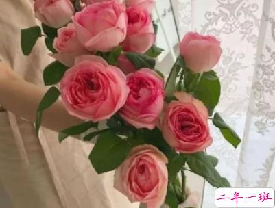 夏天的干净句子带图片 女生夏季心情说说小清新12