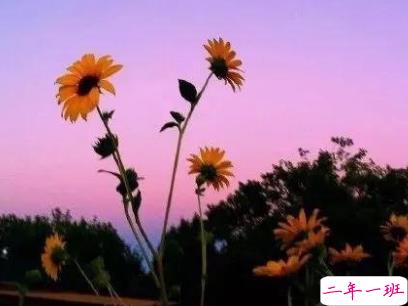 微博文艺小短句带图片 小众且好听的微博句子3