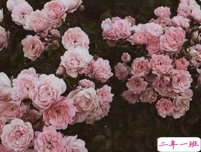 微博文艺小短句带图片 小众且好听的微博句子7