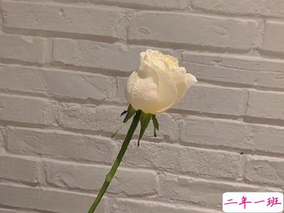 2020最暖情话留言短句 史上最撩人情话精选1