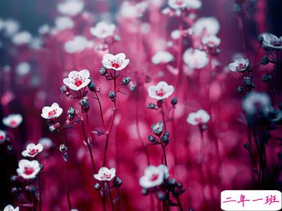 女生唯美文艺说说带图片 最近很流行的女生文艺小短句2