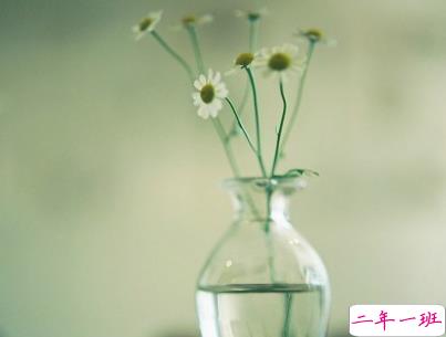 女生唯美文艺说说带图片 最近很流行的女生文艺小短句4