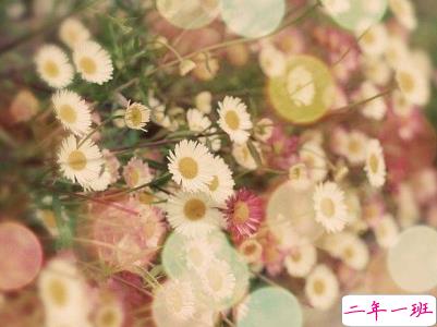 女生唯美文艺说说带图片 最近很流行的女生文艺小短句5