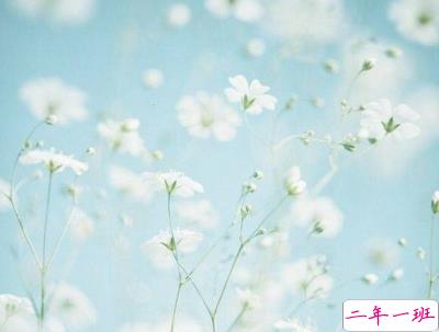 女生唯美文艺说说带图片 最近很流行的女生文艺小短句6