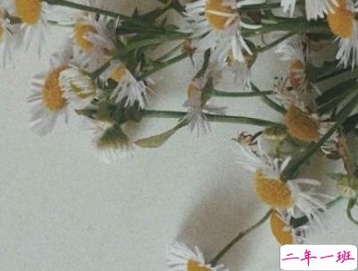 唯美文艺爱情说说带图片 女生发朋友圈的文艺小短句5