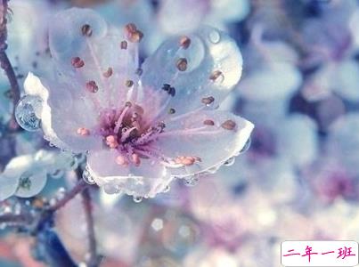 女生唯美文艺说说带图片 最近很流行的女生文艺小短句8