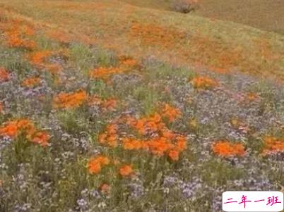 唯美文艺爱情说说带图片 女生发朋友圈的文艺小短句7