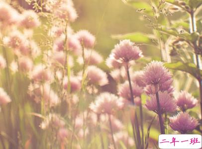 女生唯美文艺说说带图片 最近很流行的女生文艺小短句10