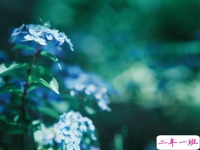 女生唯美文艺说说带图片 最近很流行的女生文艺小短句15