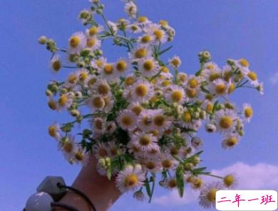 情侣之间的撩人小情话 说给对象听的腻歪土味情话大全1