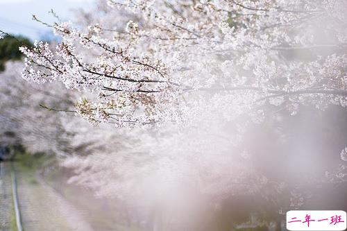 最新女生唯美说说带图片大全 有诗意很文艺的一些唯美句子1