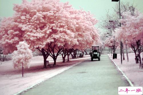 最新女生唯美说说带图片大全 有诗意很文艺的一些唯美句子7