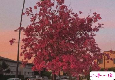 2019抖音最火情侣说说 很甜很撩人的说说艾特对象2