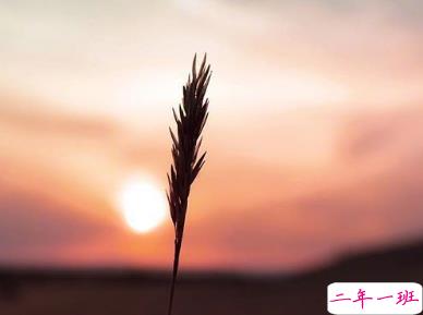 最新恋爱一周年的浪漫语录 恋爱纪念日简单句子1