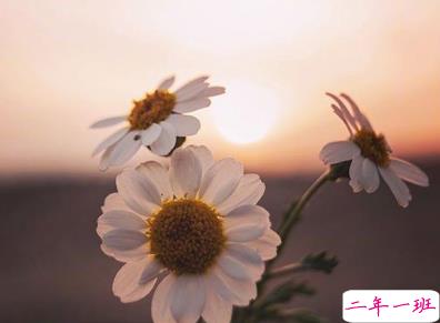 最新恋爱一周年的浪漫语录 恋爱纪念日简单句子2